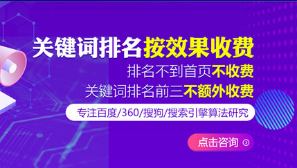 网站SEO排名服务